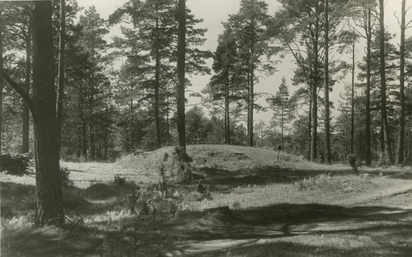 Ett foto från 1920-talet på en gravhög. Vid kanten finns en fornlämningsskylt.