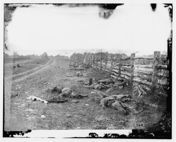 Döda sydstatssoldater längs Hagerstown Road efter slaget vid Antietam i september 1862