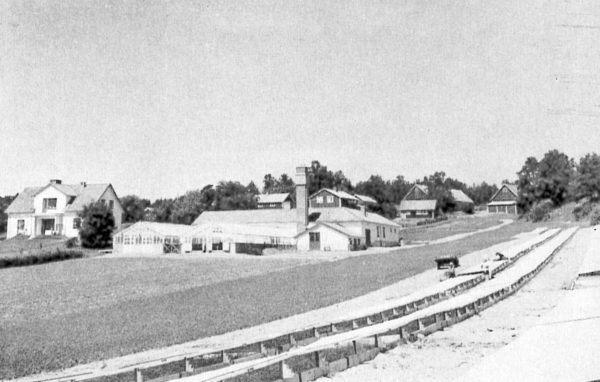 Svartvitt foto över Mykinge försöksgård på 1959-talet.