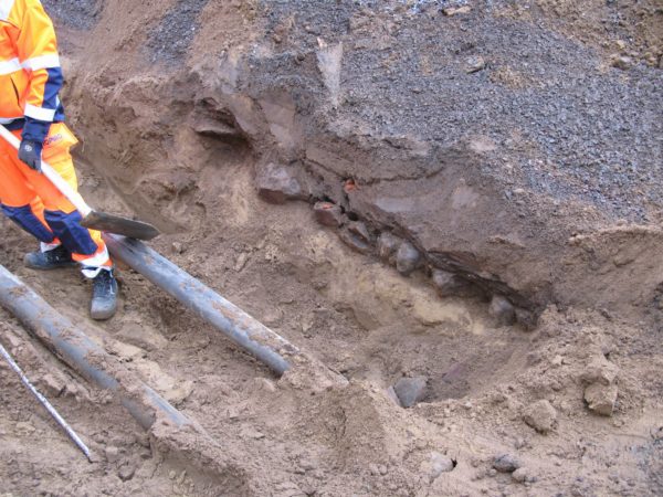Bild på gropen med en arbetare inuti med en spede i handen. Rester från kullerstensläggning syns vid kanten av gropen.