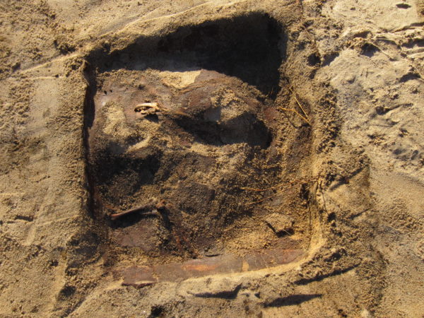 Framgrävd grav gjord för en katt eller hund. Delar från trälådan syns vid kanterna, några olika ben syns också.