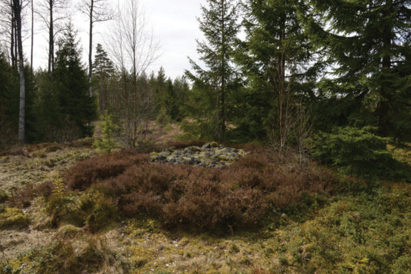 Stensättning på gravfältet norr om Kyrkestaden. Foto Jönköpings läns museum.