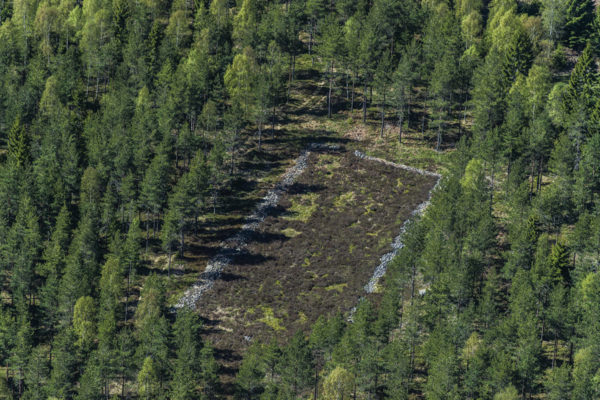 Vy över Kyrkestaden från nordost.