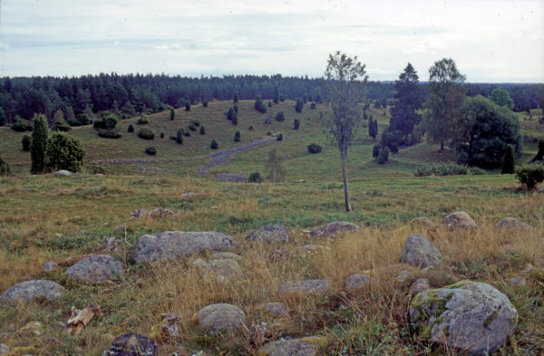 Landskapsvy från ett av gravrösena.