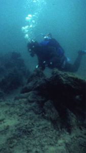 En person under vatten iklädd våtdräkt och som har dykarutrustning.