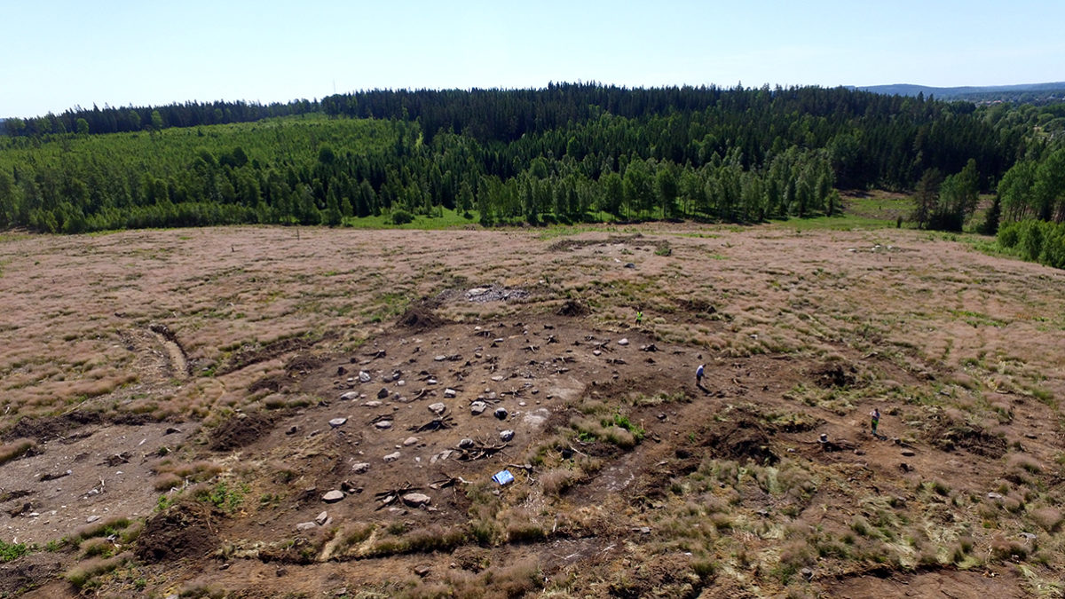 Drönarbild som visar gravfält och omgivande skog ovanifrån.