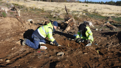 Två arkeologer gräver ute på ett fält