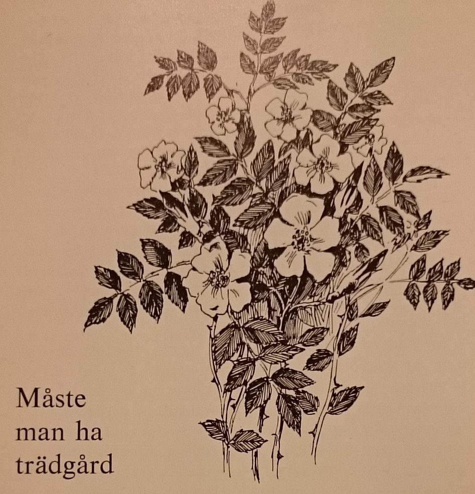 bild ur boken sommartorpets trädgård visar en bukett rosor och texten måste man ha trädgård