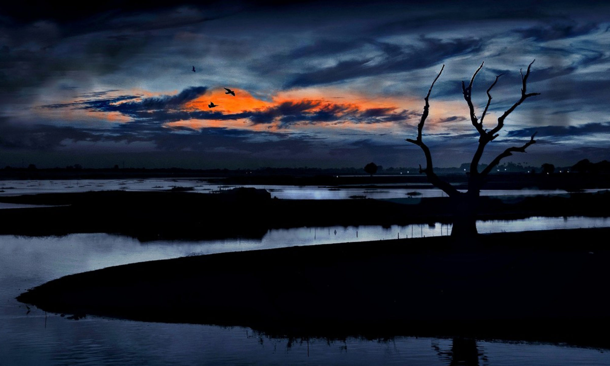 Solnedgången i en mörkt blå kvällsvy över vatten och ett träd i förgrunden.
