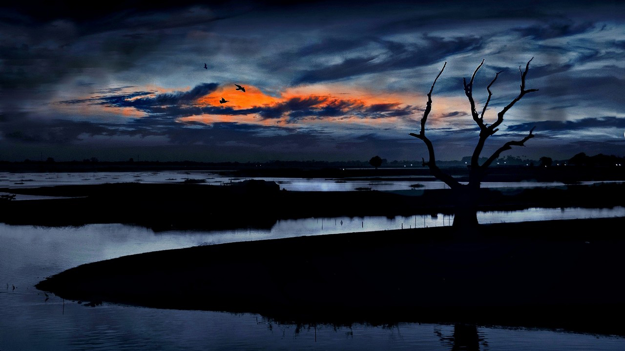 Solnedgången i en mörkt blå kvällsvy över vatten och ett träd i förgrunden.