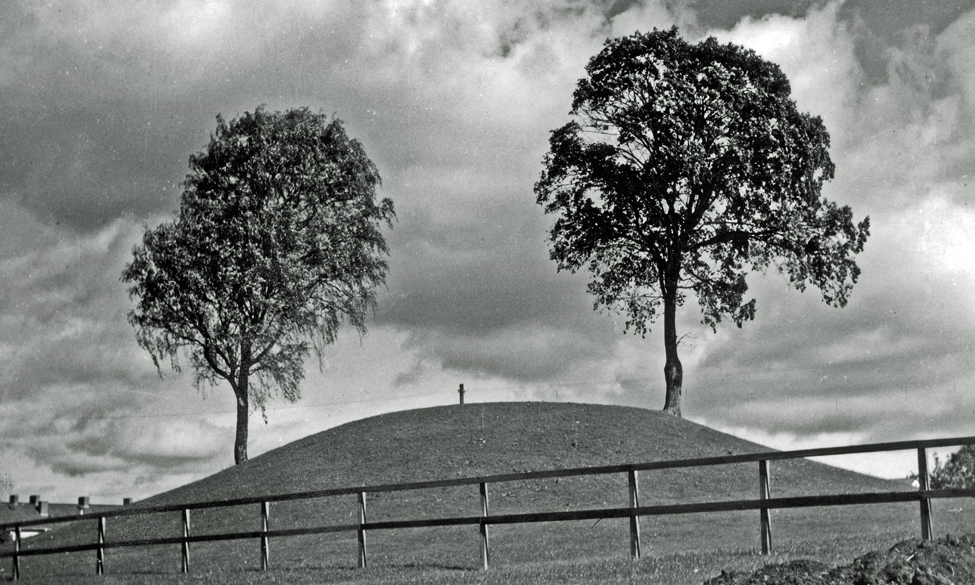 Svartvit bild på en kulle med två stora träd på. Framför kullen är ett staket i trä.