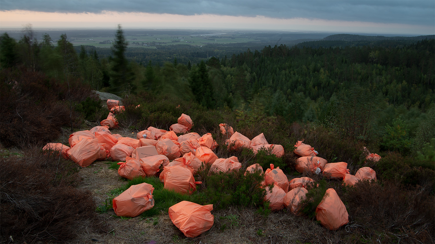 Konstnären Mattias Käll har fotat orange sopsäckar som ligger utspridda i ett sommarlandskap. Över hänger en mörkare himmel och i bakgrunden skymtar skogen.