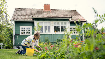 Kvinna med hink bredvid sig ligger på knä i en rabatt framför ett litet hus med spröjsade fönster